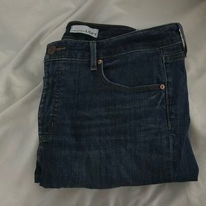 Loft Size 31/12 Curvy Skinny Jeans